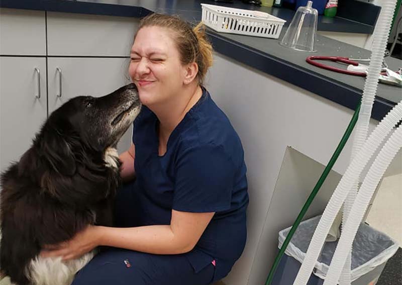 Dog Veterinary Care, Frederick